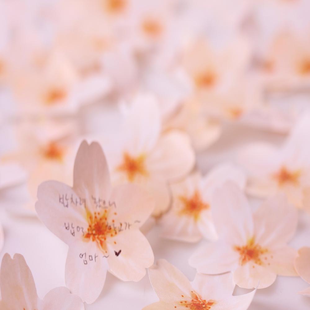 Sticky Leaf - cherry blossom