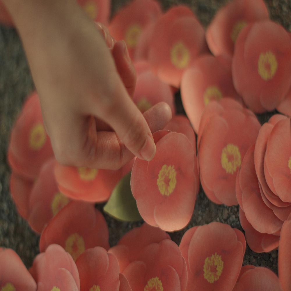 Sticky Leaf - Camellia