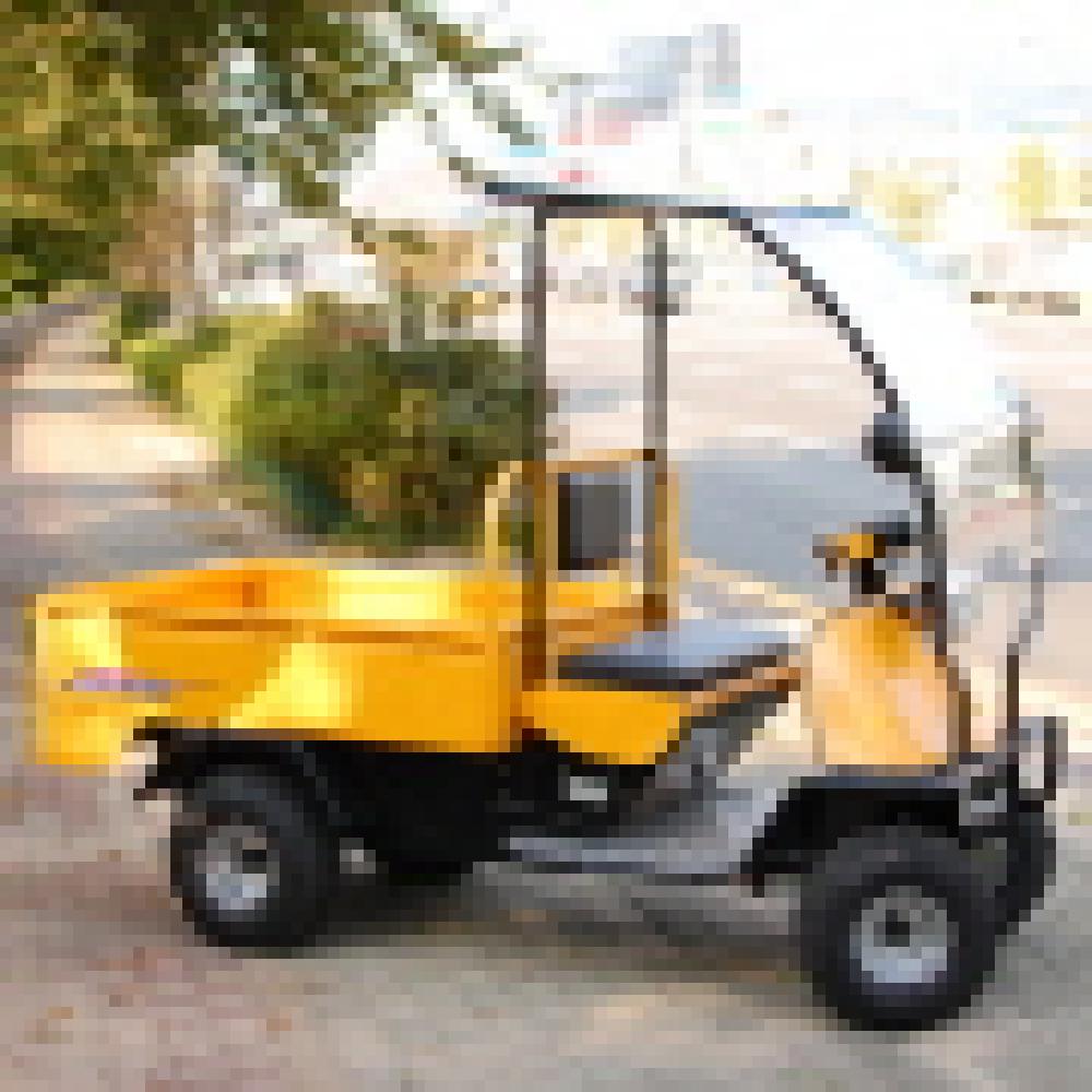 Electric Vehicle(SJE 3000)