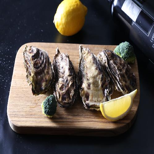 Live Oyster | oyster, live oyster, individual oyster, korea oyster, pacific oyster, whole shell oyster