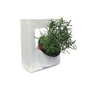 Any direction and space regardless of the quantity and space Connection Plant Pot Holder