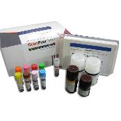 GENOPLEX MAP RCC-3Plex