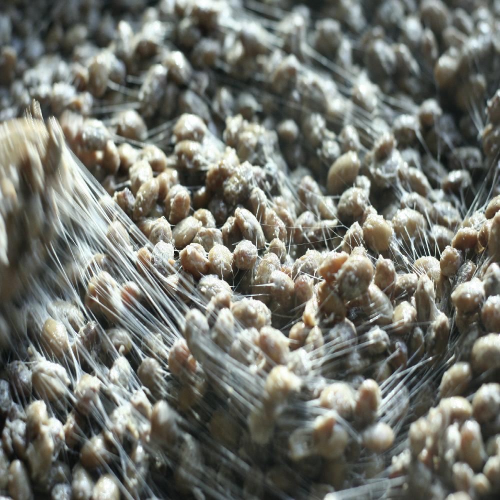 Pure traditional way 4 brother and sister rural Chunggukjang