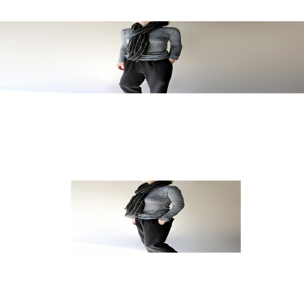 ANAIS’s Canal Muffler