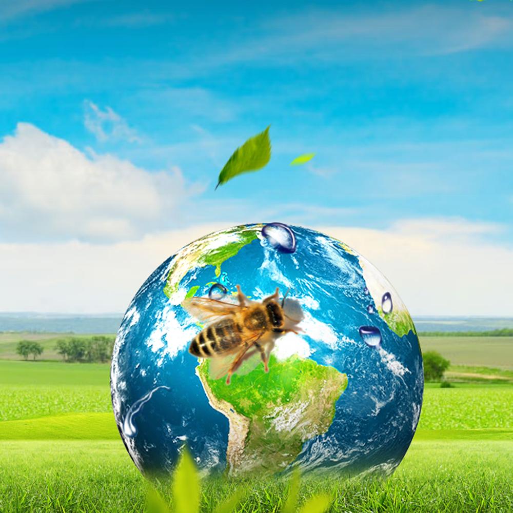 Unibee Propolis Spray