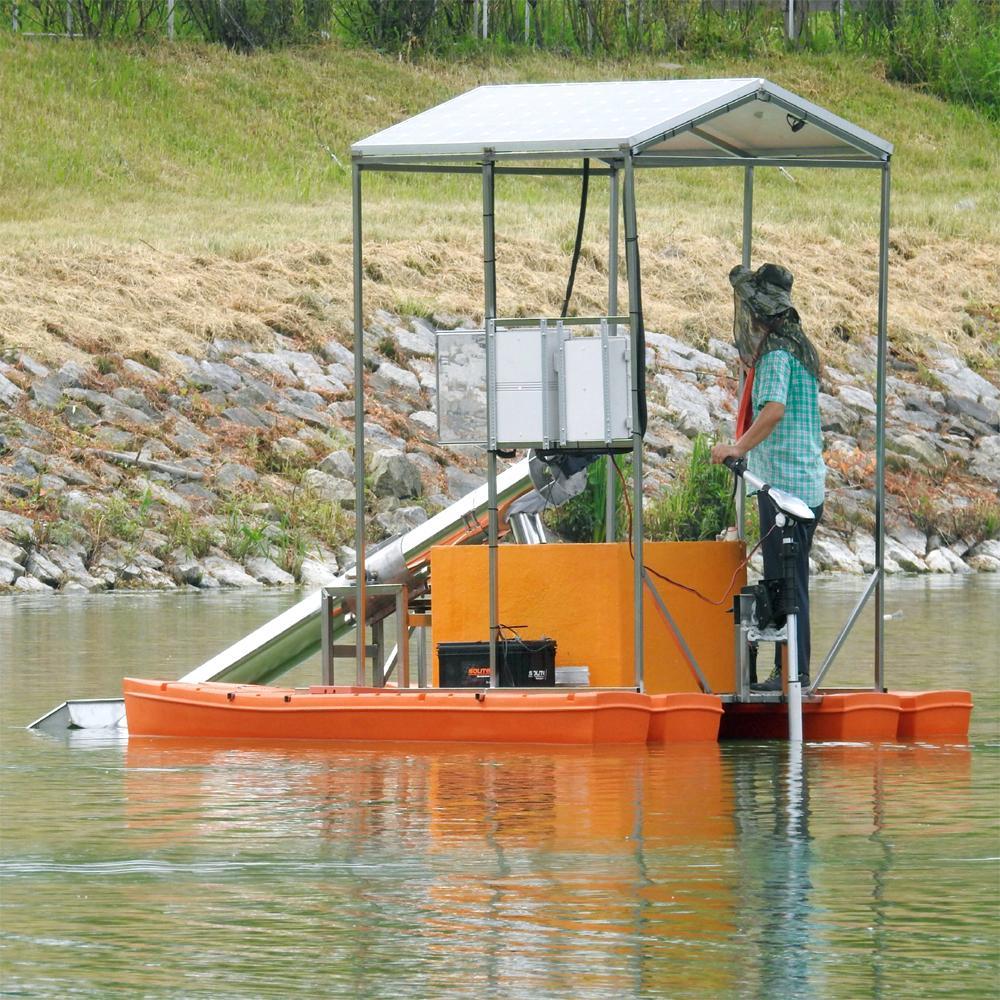Algal bloom removal line