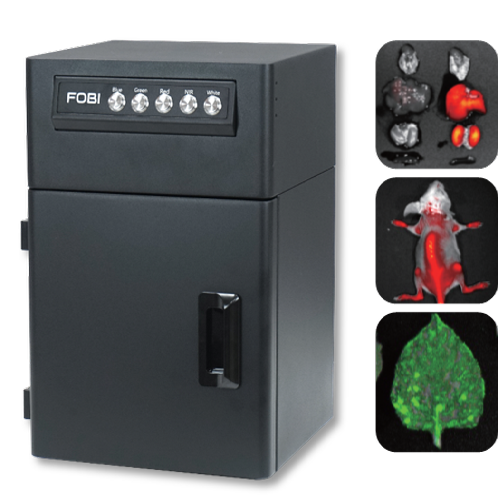 In Vivo Imaging System, FOBI
