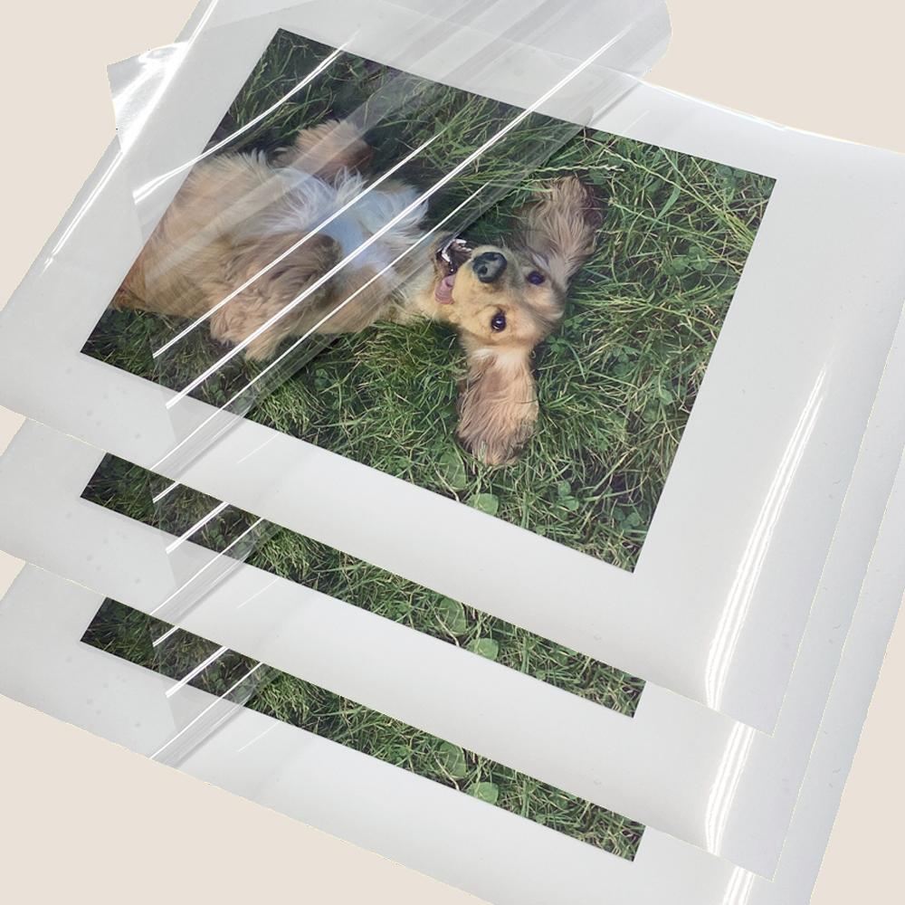 ANYSHEET Laminating Film A4 (100ct) for documents, Photos, Books, Clear Coating Matte