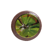 Angel escam soap bar brown made of natural ingredients  for sensitive skin with mildness and moist