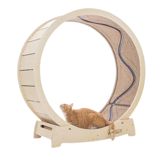 CAM Corp. CAM1060 | catwheel, star catwheel, toy, catwheel, star catwheel, toy