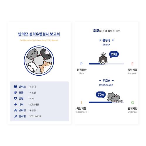 Cat Character Style Inventory