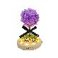 full image LED purple glass dome mood light attractive color