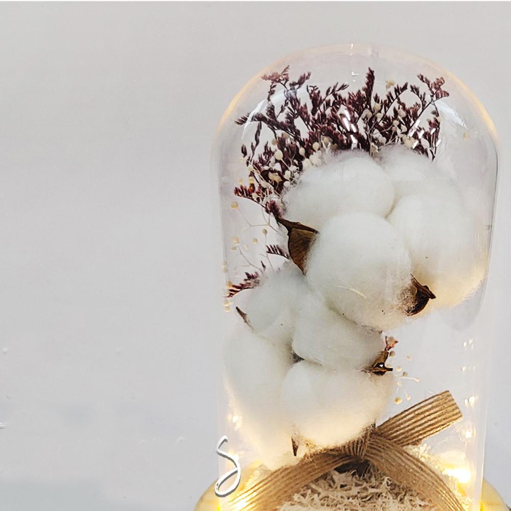 LED Cotton Glass Dome Mood Lamp Cozy Cotton Light