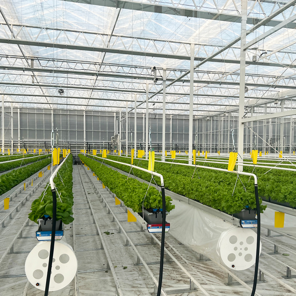 Drip irrigation Tubing Hole Punch Tool