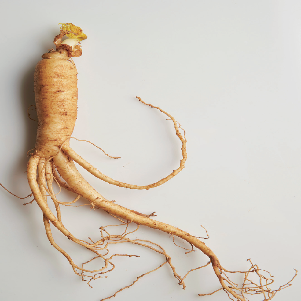 COREAHOUSE KOREAN RED GINSENG EXTRACT EVERYDAY VALUE UP