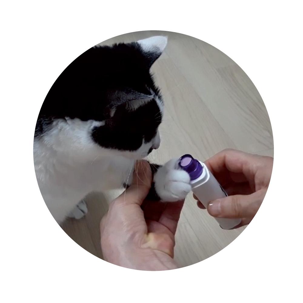 Cat nail grinder