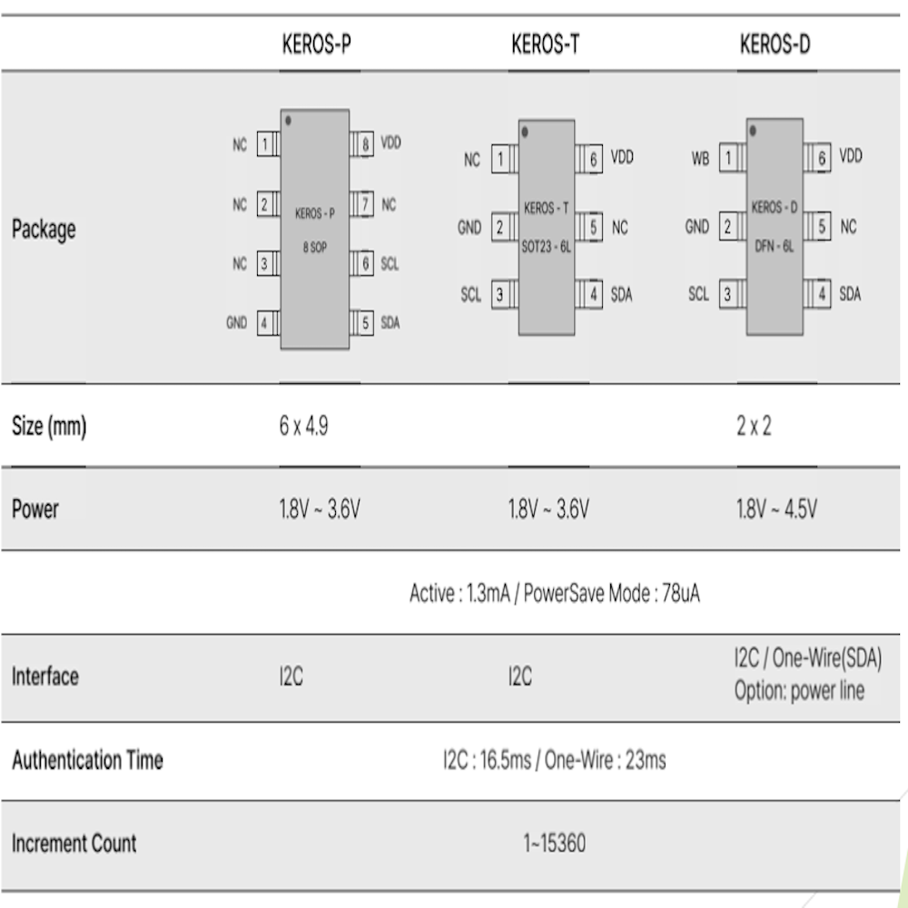 semiconductor security chip (IC)